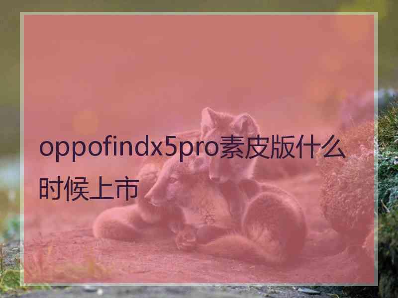 oppofindx5pro素皮版什么时候上市