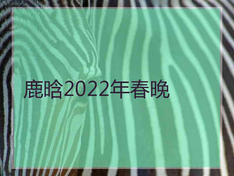 鹿晗2022年春晚