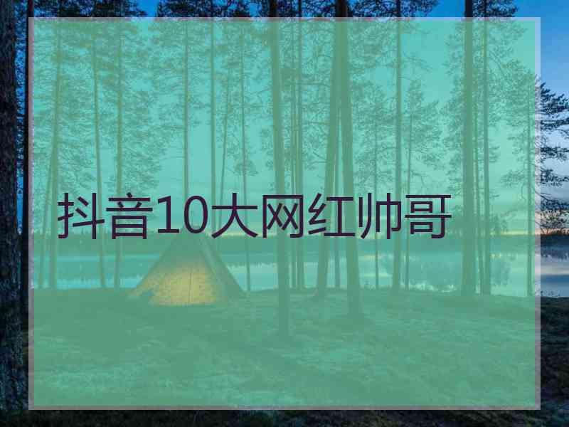 抖音10大网红帅哥