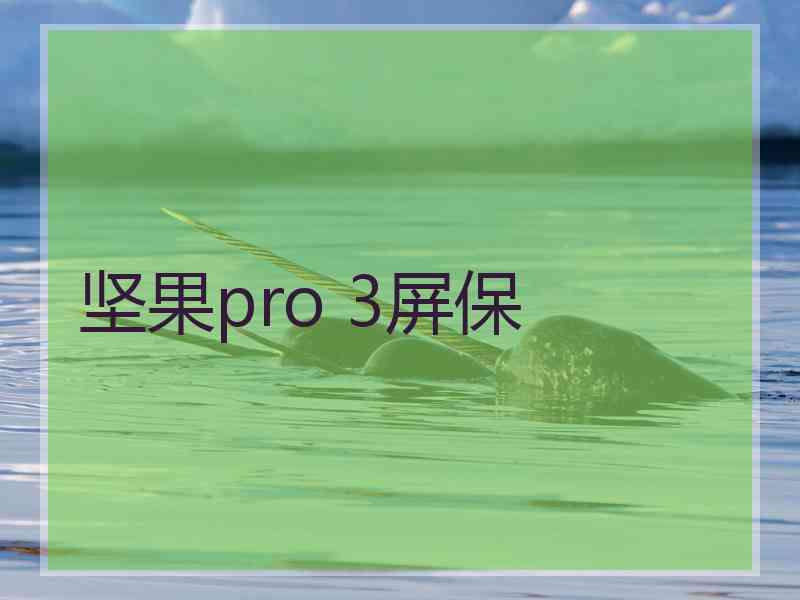 坚果pro 3屏保