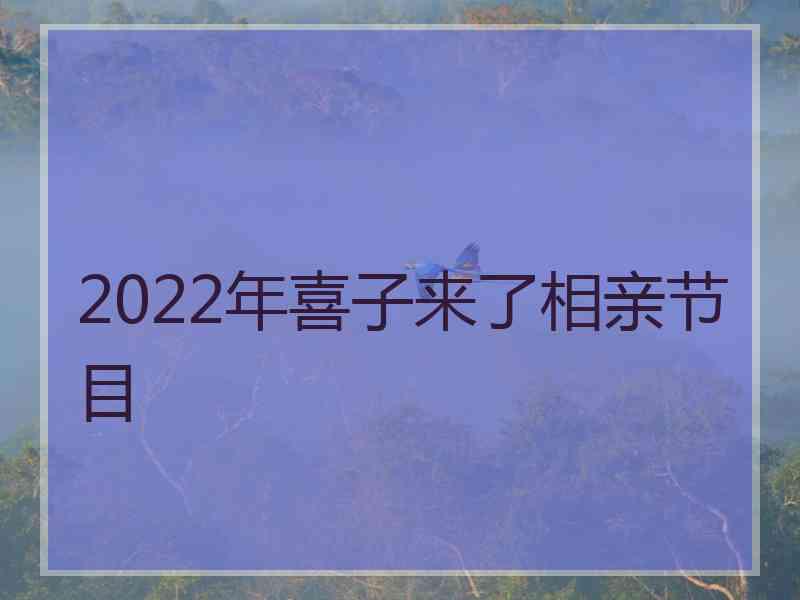 2022年喜子来了相亲节目