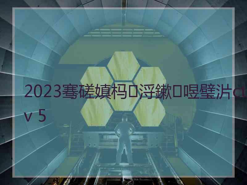 2023骞磋嫃杩浖鏉喅璧沜ctv 5