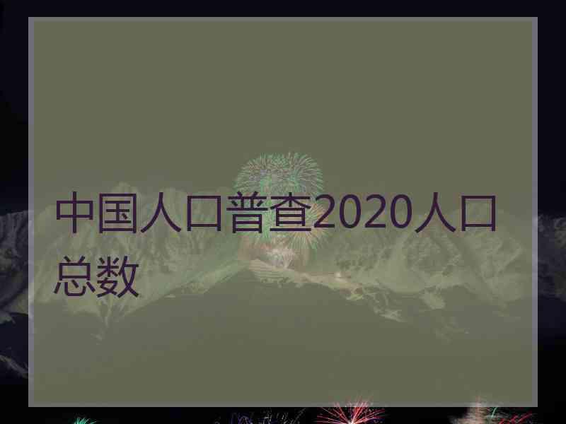 中国人口普查2020人口总数