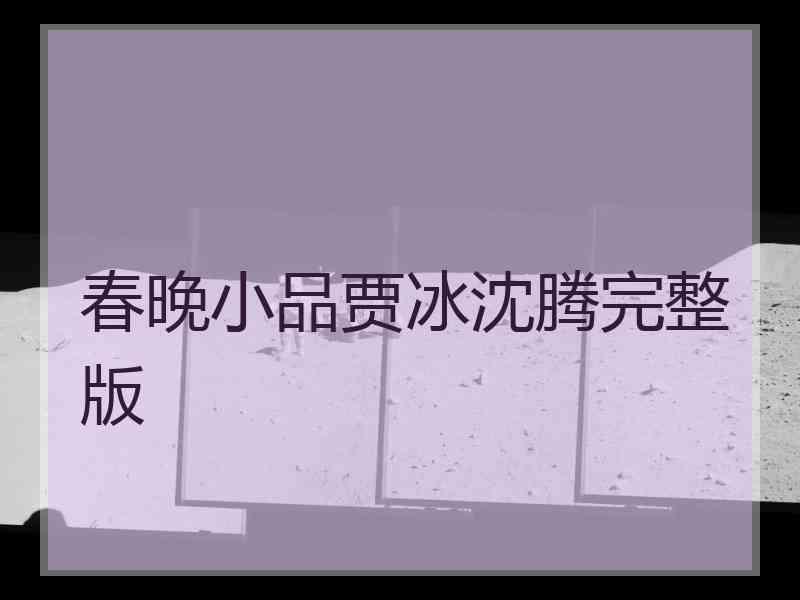 春晚小品贾冰沈腾完整版