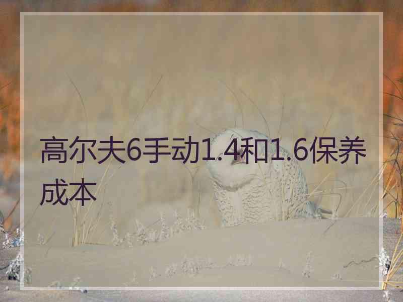 高尔夫6手动1.4和1.6保养成本