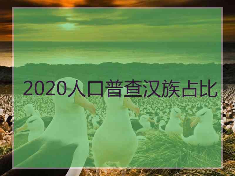 2020人口普查汉族占比