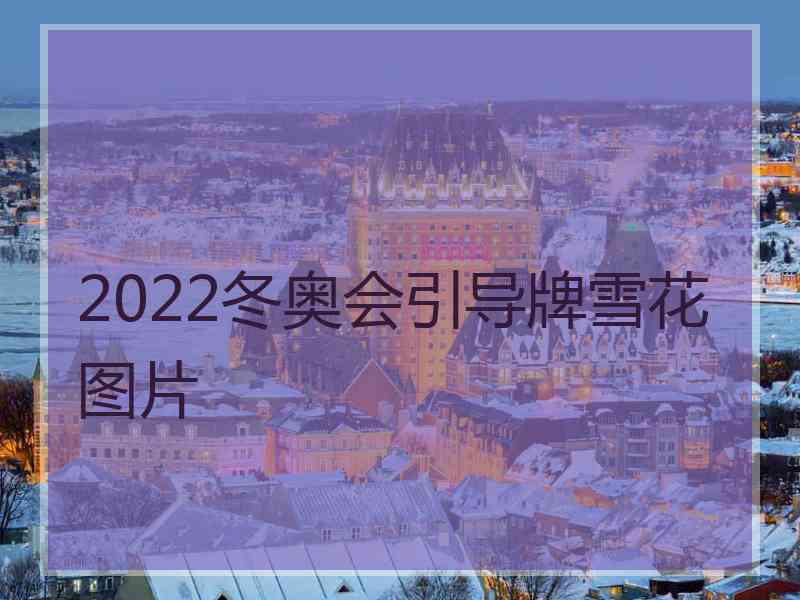 2022冬奥会引导牌雪花图片