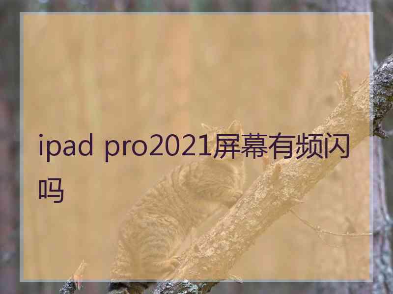 ipad pro2021屏幕有频闪吗