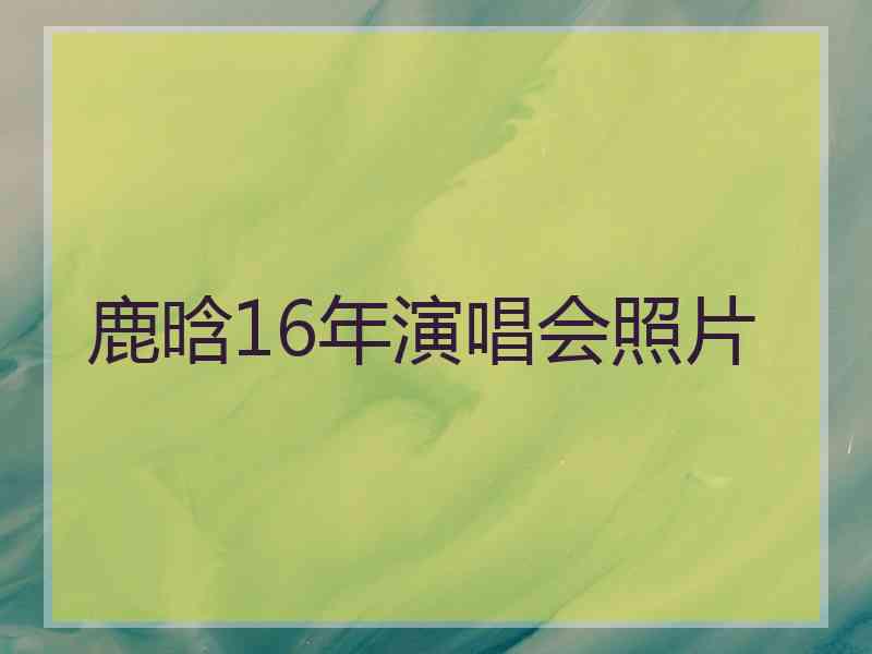 鹿晗16年演唱会照片