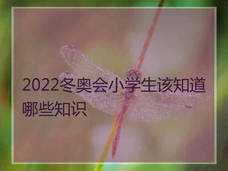 2022冬奥会小学生该知道哪些知识