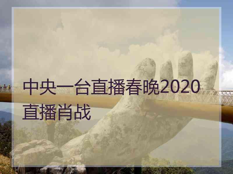 中央一台直播春晚2020直播肖战