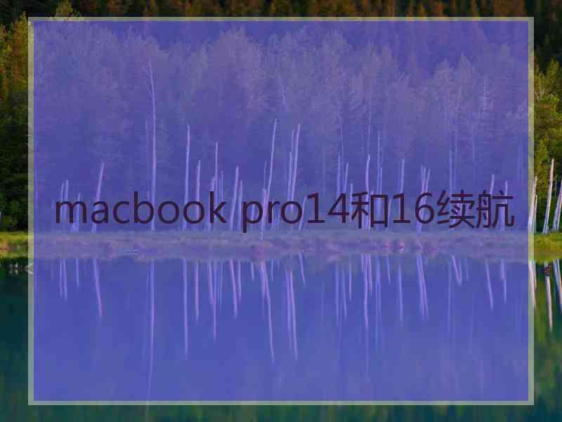 macbook pro14和16续航