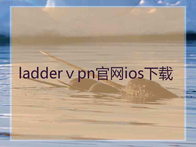 ladderⅴpn官网ios下载