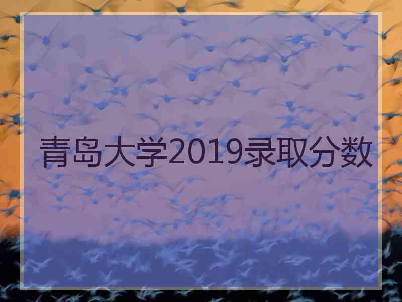 青岛大学2019录取分数