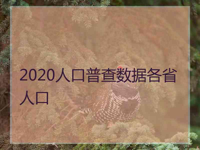 2020人口普查数据各省人口