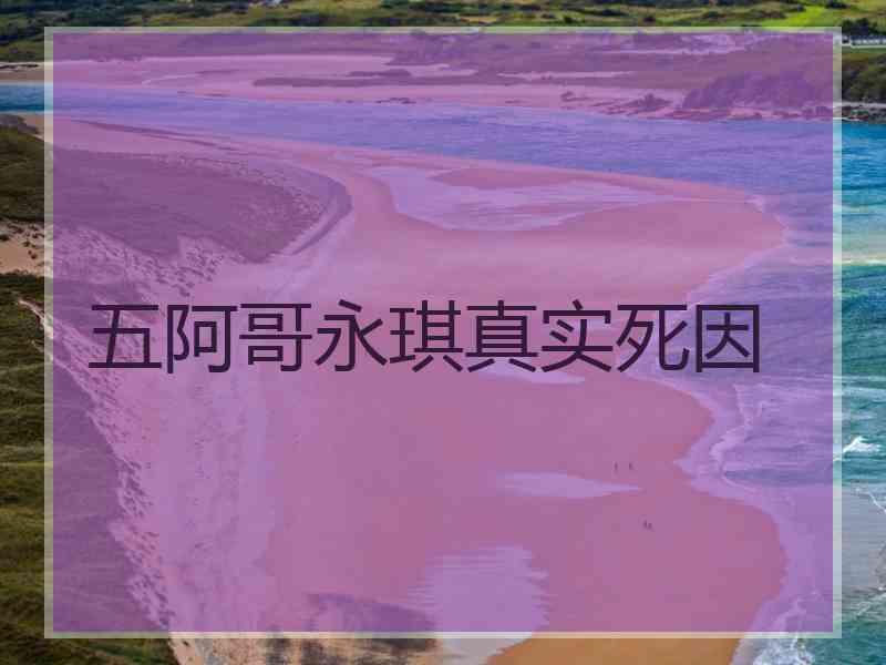 五阿哥永琪真实死因