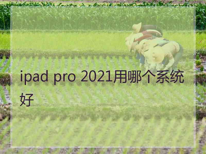 ipad pro 2021用哪个系统好