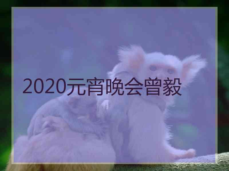 2020元宵晚会曾毅