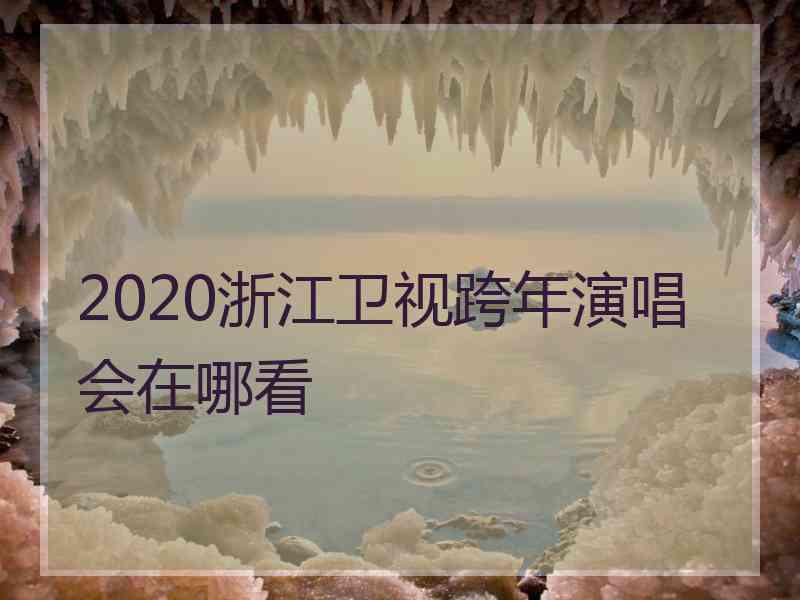 2020浙江卫视跨年演唱会在哪看