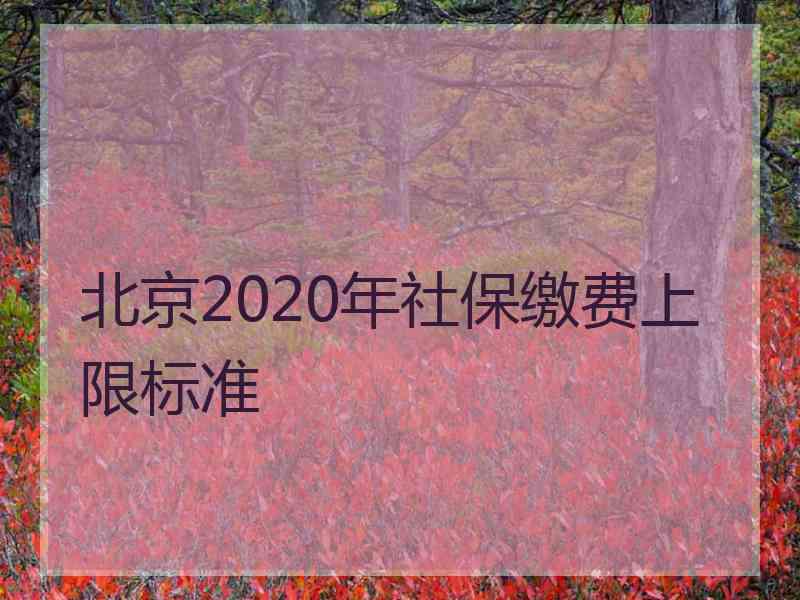 北京2020年社保缴费上限标准