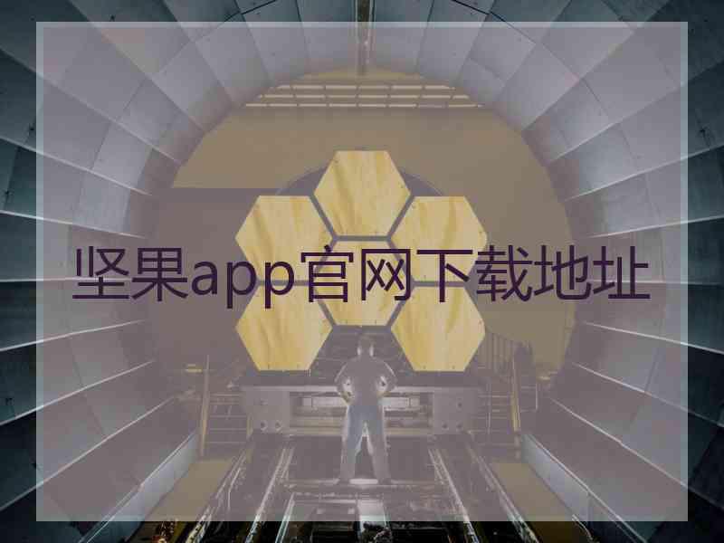 坚果app官网下载地址