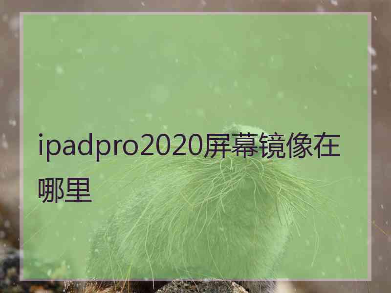 ipadpro2020屏幕镜像在哪里