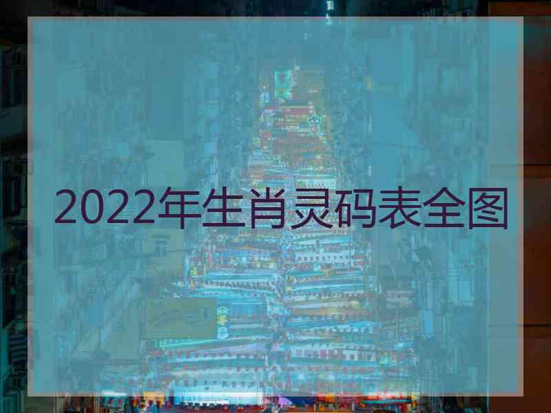 2022年生肖灵码表全图