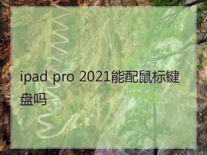 ipad pro 2021能配鼠标键盘吗