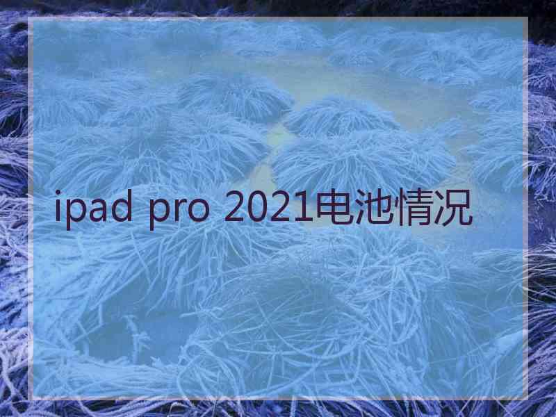 ipad pro 2021电池情况