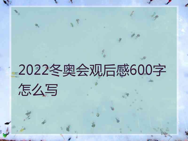 2022冬奥会观后感600字怎么写