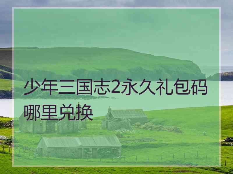 少年三国志2永久礼包码哪里兑换