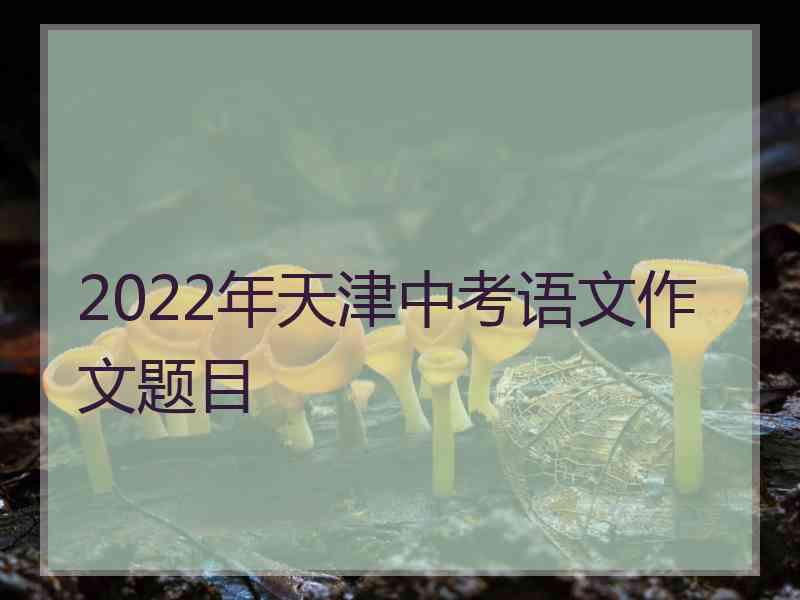 2022年天津中考语文作文题目