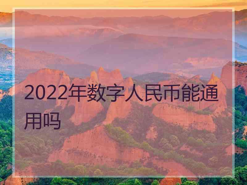 2022年数字人民币能通用吗