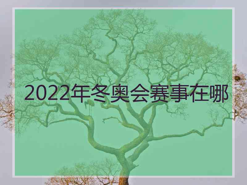 2022年冬奥会赛事在哪