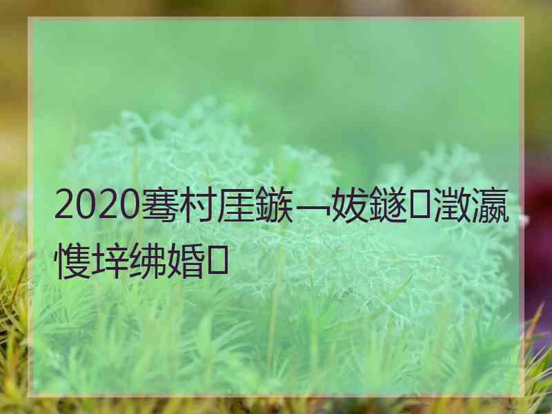 2020骞村厓鏃﹁妭鐩澂瀛愯垶绋婚