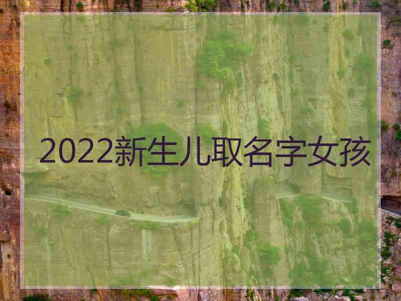 2022新生儿取名字女孩