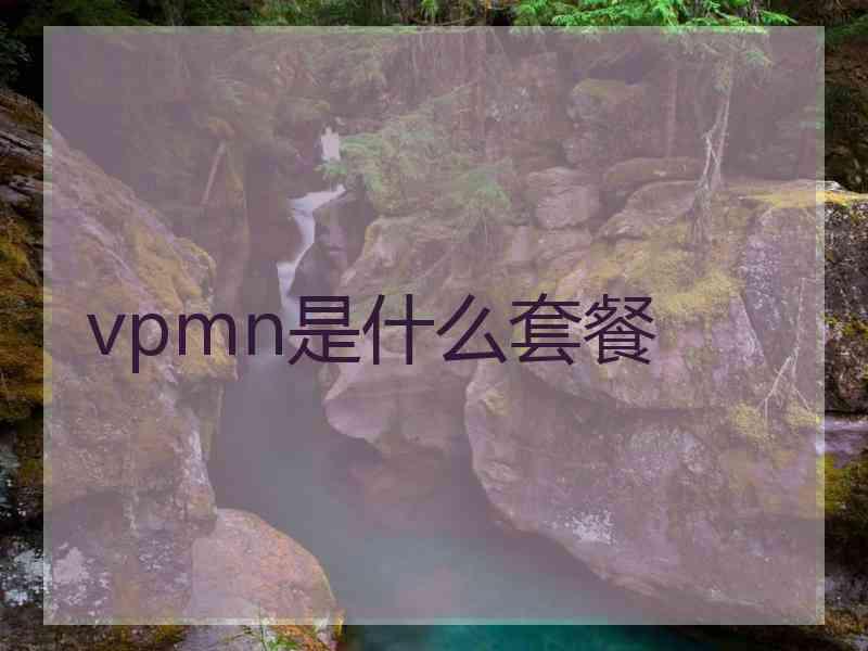 vpmn是什么套餐