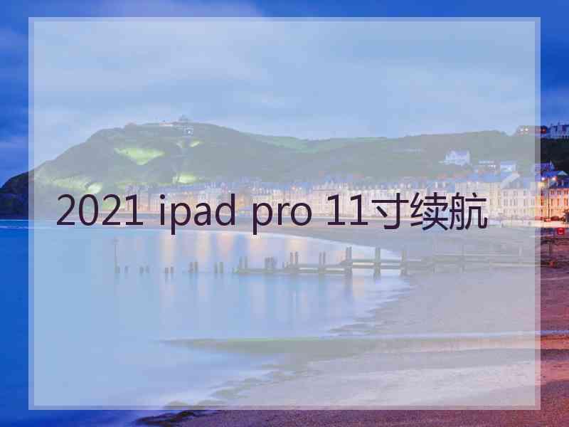 2021 ipad pro 11寸续航