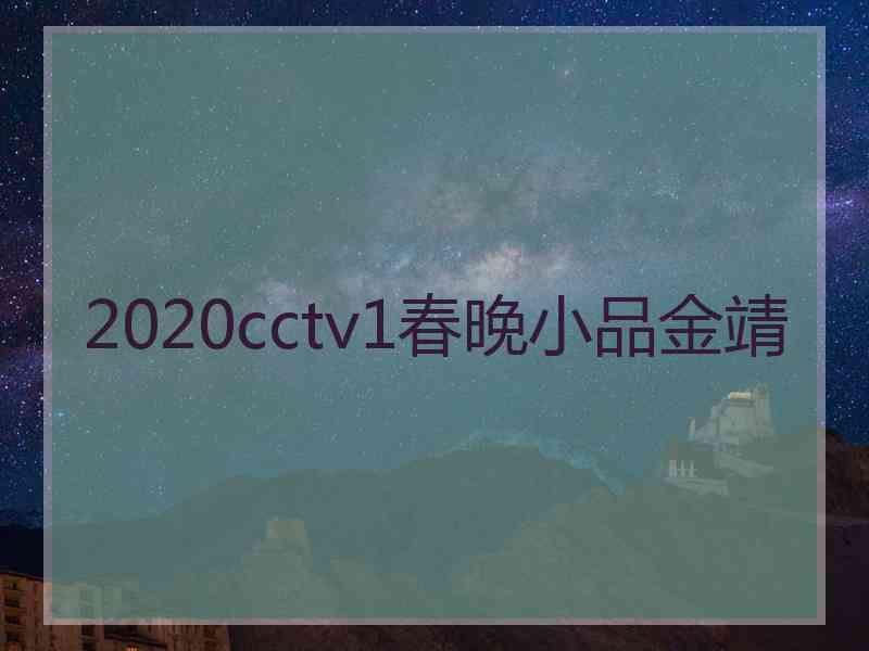 2020cctv1春晚小品金靖