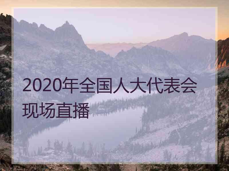 2020年全国人大代表会现场直播