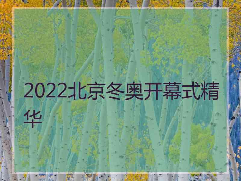 2022北京冬奥开幕式精华