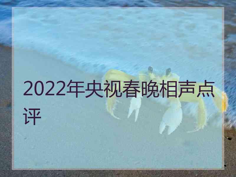 2022年央视春晚相声点评