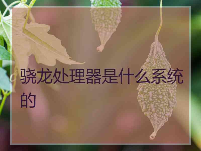 骁龙处理器是什么系统的