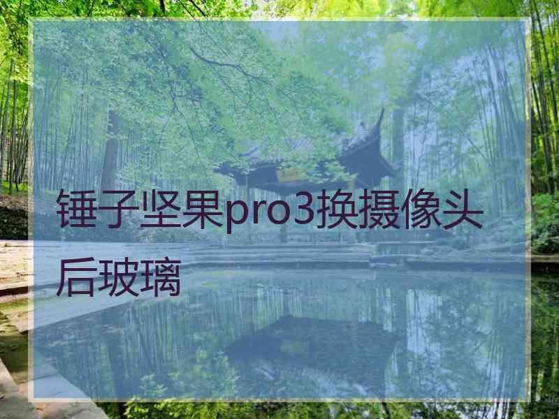 锤子坚果pro3换摄像头后玻璃