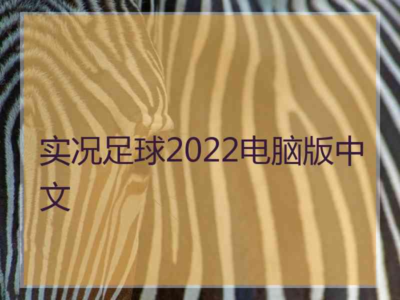 实况足球2022电脑版中文