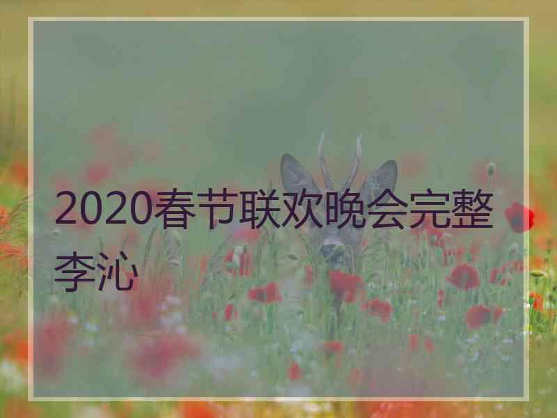 2020春节联欢晚会完整李沁