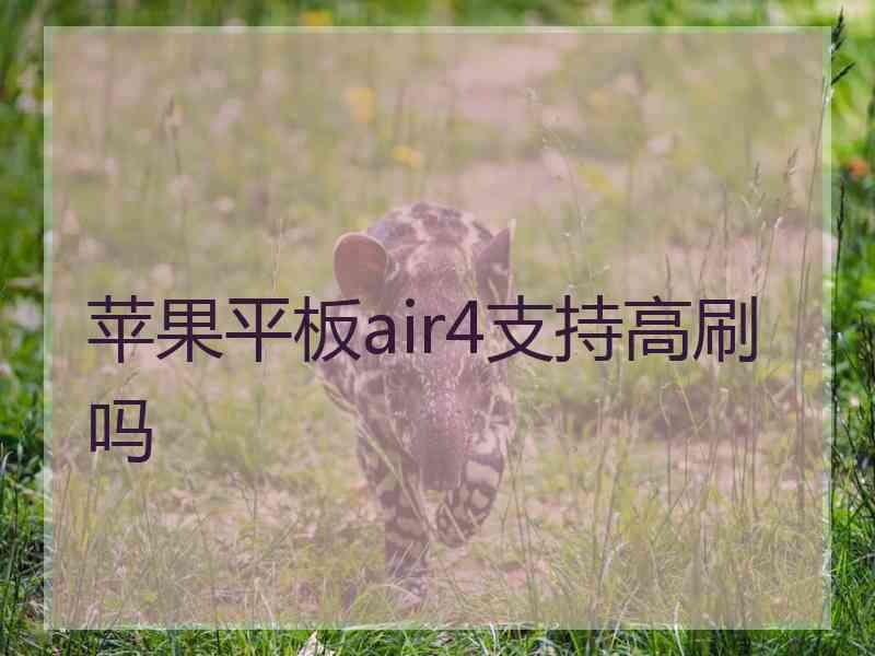 苹果平板air4支持高刷吗