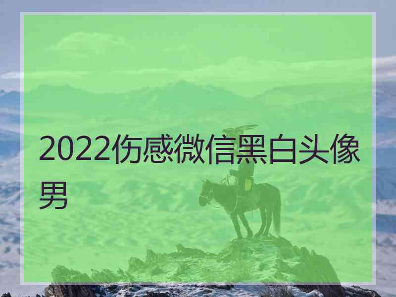 2022伤感微信黑白头像男