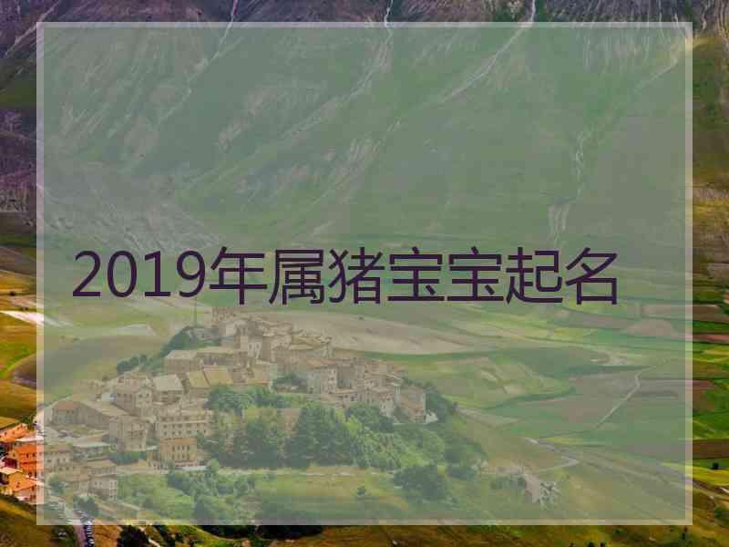 2019年属猪宝宝起名