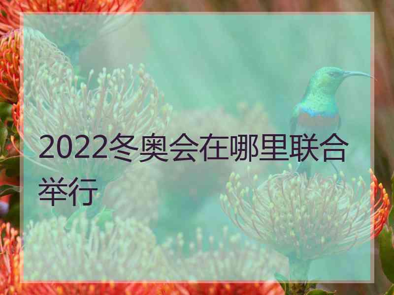 2022冬奥会在哪里联合举行